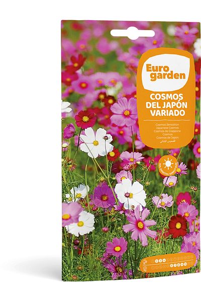 EURO GARDEN Japanese Cosmos (Cosmos del Japón Variado) Premium Quality Seeds Made in Spain