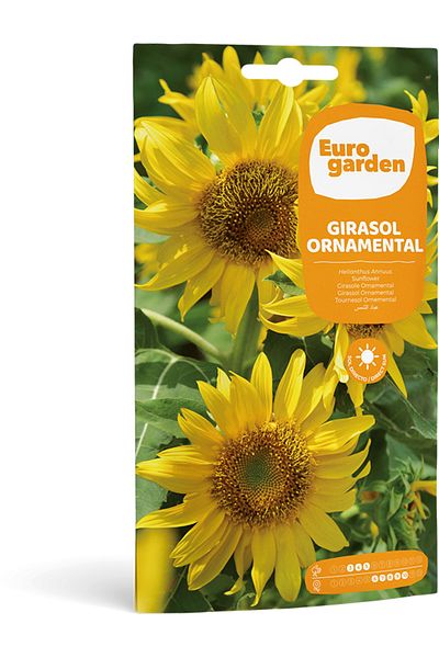 EURO GARDEN Ornamental Sunflower (Girasol Ornamental) Premium Quality Seeds Made in Spain