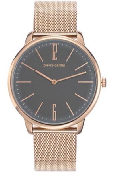 Pierre Cardin 106991F32 Men's Watch