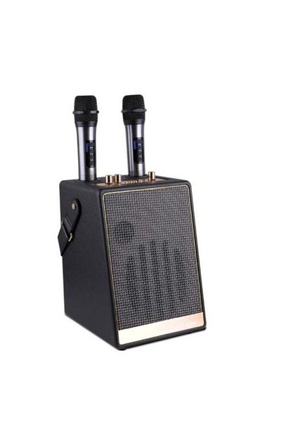 Generic Portable Bluetooth Karaoke Speaker with Two Microphones