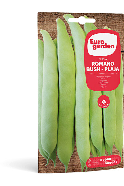 EURO GARDEN بذور الفاصوليا (جوديا رومانو بوش – بلاجا) عالية الجودة مصنوعة في ...