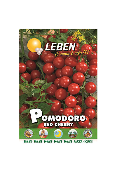 Leben بذور الطماطم الكرزية (طماطم كرزية حمراء بومودورو) عالية الجودة مصنوعة في إيطاليا