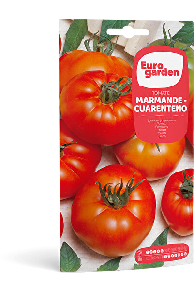 EURO GARDEN بذور الطماطم (Tomate Marmande – Cuarenteno) عالية الجودة مصنوعة ف...