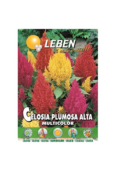 Leben بذور سيلوسيا (سيلوسيا بلوموسا ألتا متعددة الألوان) عالية الجودة، مصنوعة...