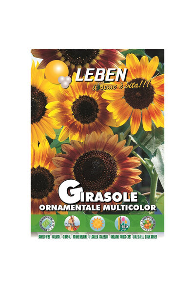 Leben Sunflower (Girasole Ornamentale Multicolor) Premium Quality Seeds