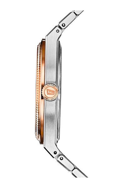 FESTİNA Mens Watch F20030/1, Automatic, 40mm, 10ATM