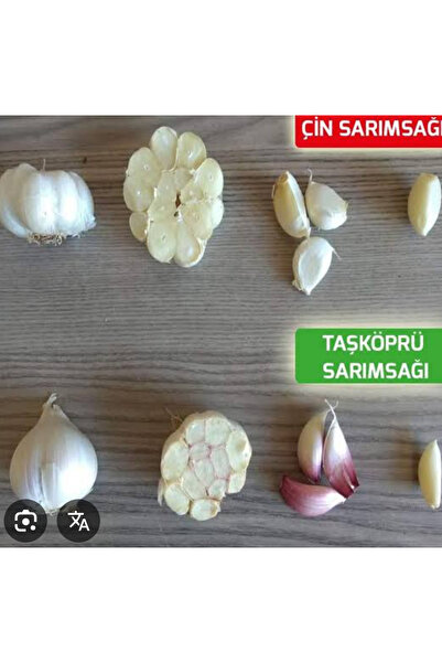 KASTAMONU BEYZADE YÖRESEL PAZARI Hakiki 2025 Taşköprü sarımsağı 2 kg