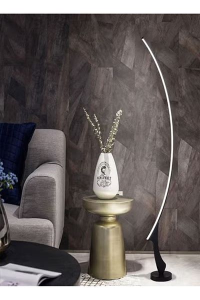 Raffine Minimalist Arc Floor Lamp Stepless Dimming & Color Temp Control for Living Room/Bedroom/Office