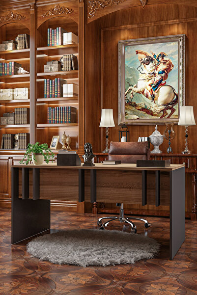 Givayo Mobilya VİSERİON Çalışma Masası - Ofis Masası - Bilgisayar Masası - Çok Amaçlı Masa