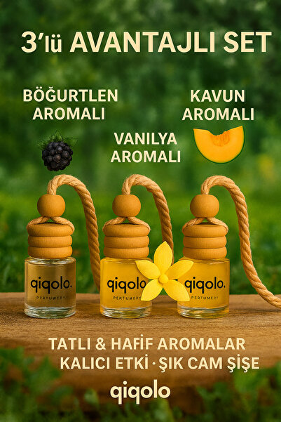 qıqolo 3’lü Araç Oto Koku Seti – Böğürtlen, Vanilya, Kavun (3x8 ml – Toplam 2...