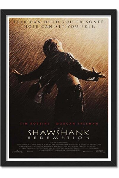 Emoda home Trove ملصق فيلم Shawshank Redemption (30x40 سم) - لوحة جدارية متعد...