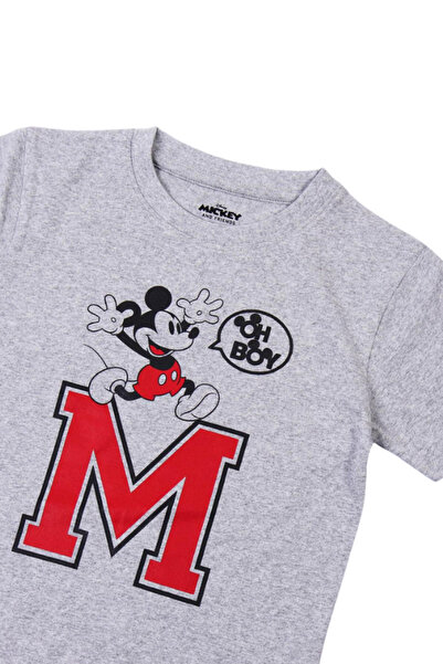 Mickey Mouse Children's t-shirt 100% cotton, gray, Mickey Mouse, Disney