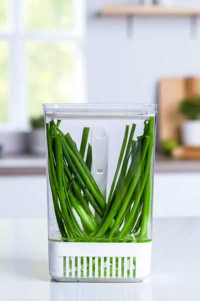 Vienev Greenery Storage Container with Strainer 2.9 Liters