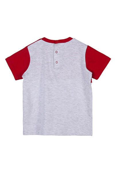 SPIDERMAN Set of two children's t-shirts, 100% cotton, multicolor,