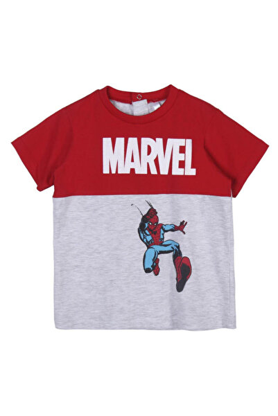 SPIDERMAN Set of two children's t-shirts, 100% cotton, multicolor,