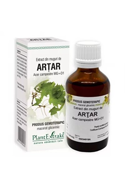 Plantextrakt Extract din muguri de artar, 50 ml,