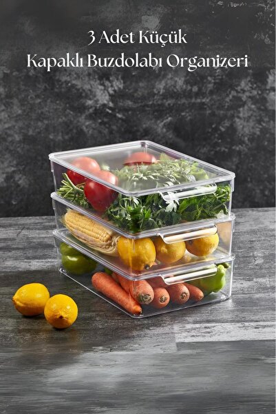 Depa 3-Piece Refrigerator Organizer & Refrigerator Organizer with Lid 3 Lt