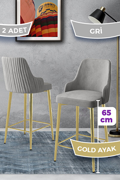 Canisa Tera Serisi 2 Adet Babyface Kumaş 65 cm Gold Kaplama Ayaklı Gri Bar Sa...