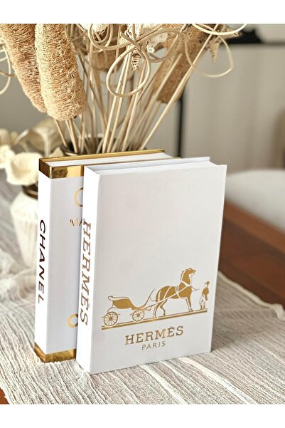 BGV HOME Decorative Book Box Set of 2 (He/C)