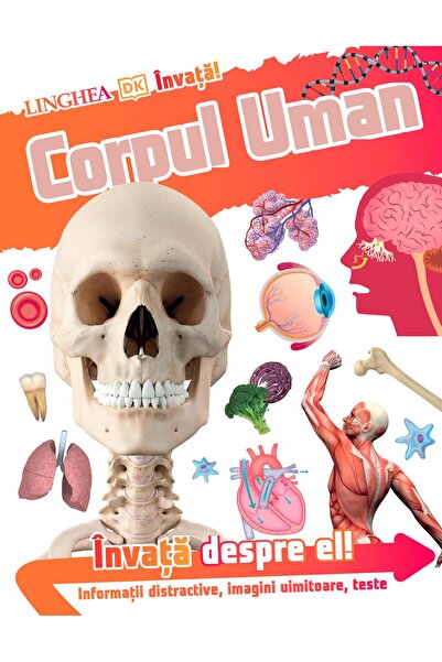 Editura Linghea Invata! Corpul Uman. Informatii distractive, imagi