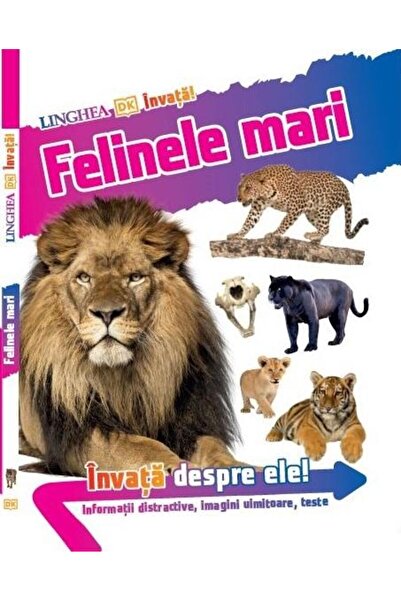 Editura Linghea Invata! Felinele mari. Informatii distractive, ima