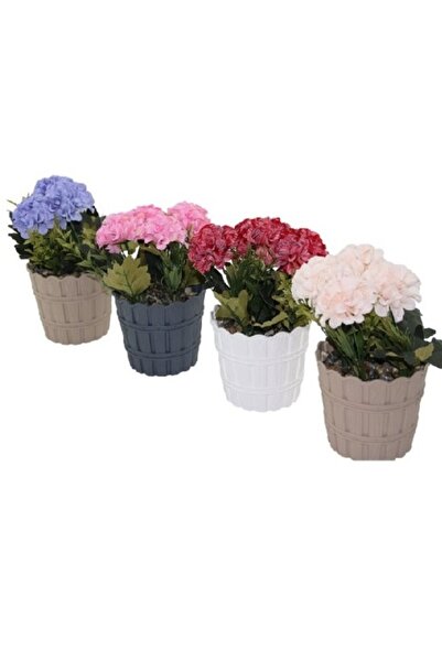 Yıldızhane Renkli Yapay Karanfil Saksı Çiçek – Dekoratif, Gerçekçi Görünümlü,...