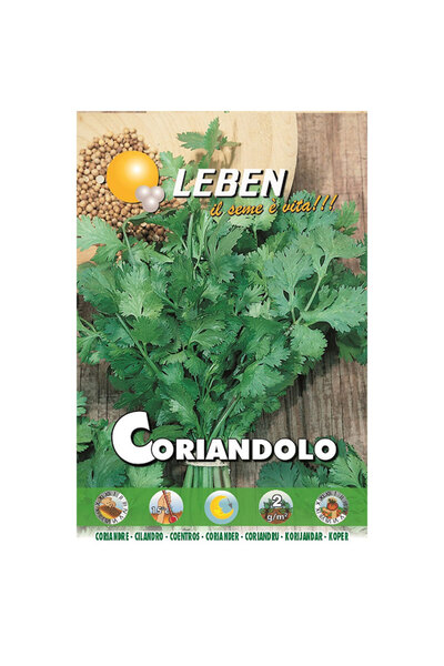 Leben Coriander (Coriandolo) Premium Quality Seeds Made in Italy