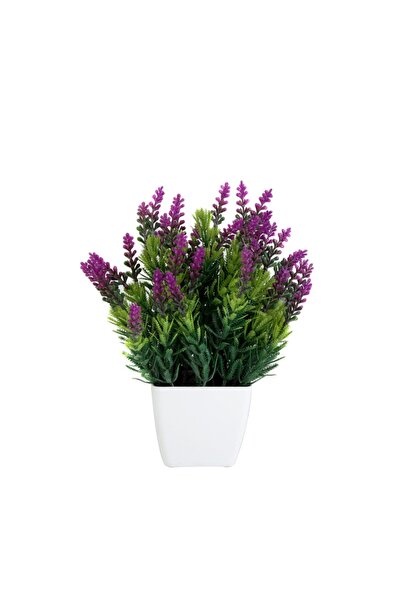 Le Atölye Saksıda Mini Lavanta 20cm