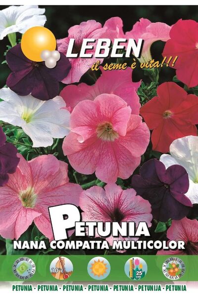 Leben Petunia Seeds (Petunia Nana Compacta Multicolor) Premium Quality Seeds Made in Italy