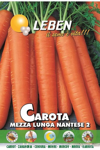 Leben Carrot (Carota Mezza Lunga Nantese 2) Premium Quality Seeds Made in Italy