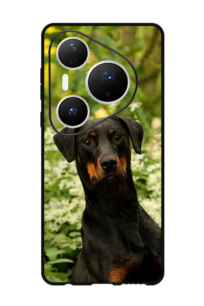 Theodor Case Compatible with Huawei Pura 80 Pro Plus 6.8 Inch Protection Shoc...