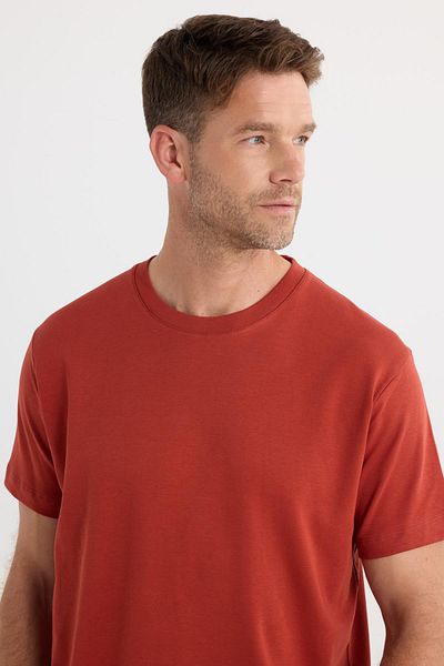 Tudors Unisex Relax Fit Relaxed Fit 100% Cotton Soft Textured Lightweight Thick Brick Crew Neck T-Shirt