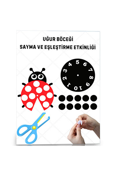 Enine Boyuna Eğitim نشاط عد وتطابق الدعسوقة (فيلكرو)