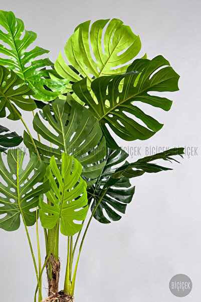BİÇİÇEK Yapay Monstera Ağacı 150-170 cm