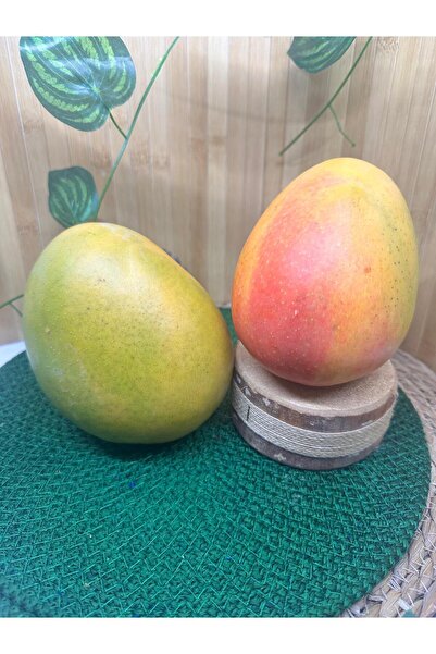 miralanya meyvecim 10 adet Pasiflora 1 Kg Muz 1 adet Ejder 1 adet Mango