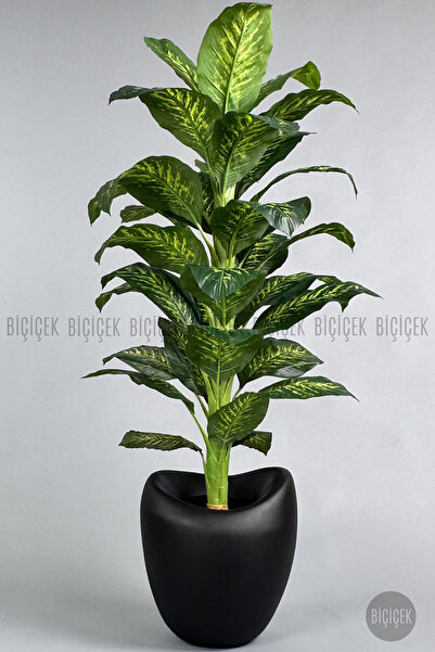 BİÇİÇEK Yapay Difenbahya Ağacı 170-200cm