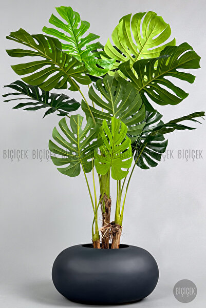 BİÇİÇEK Yapay Monstera Ağacı 150-170 cm