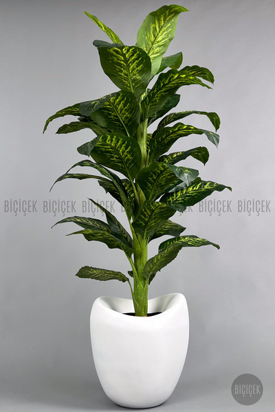 BİÇİÇEK Yapay Difenbahya Ağacı 170-200cm