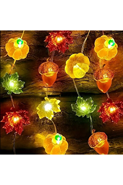 LWP Shop Sonbahar Led Işık 2m