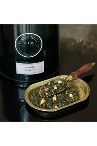 Bernschutz&Co Sencha Spring Tea g