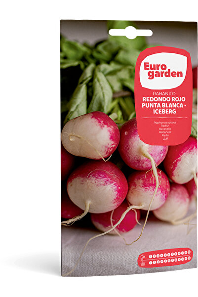 EURO GARDEN Red Radish (Rabanito Redondo Rojo Punta Blanca – Iceberg) Premium...