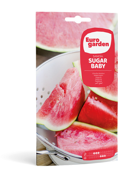 EURO GARDEN Watermelon Sugar Baby (Sandía Sugar Baby) Premium Quality Seeds M...