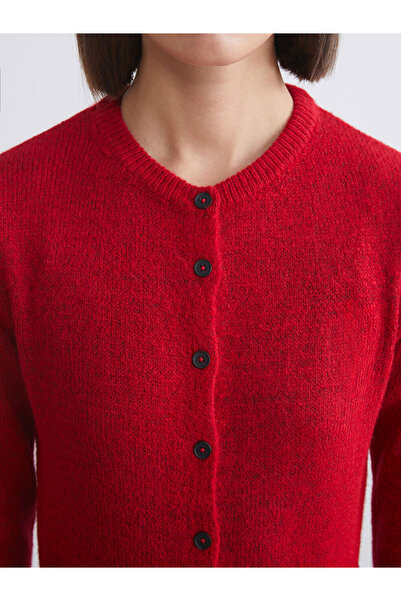 LC Waikiki Shining Store'dan Işıltılı Seçimler | Bisiklet Yaka Kadın Triko Hırka