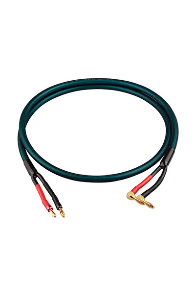 Choice1 كابل مكبر صوت HIFI من النحاس عالي النقاء 5N بطول 3.0 متر على شكل موزة...