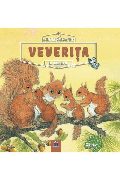 Editura Didactica Publishing House Animale salbatice in natura: Veverita