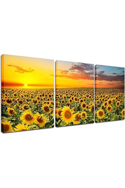 Emoda home Trove لوحة فنية جدارية من قماش EMODA لصور عباد الشمس - 3 قطع