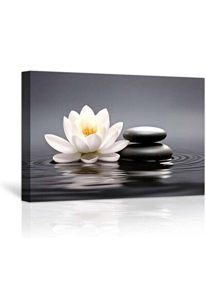 Emoda home Trove لوحة فنية جدارية من LZIMU Zen لزهور اللوتس والحجارة على الماء، مطبوعات قماشية، ديكور حمام، أعمال فنية للسبا