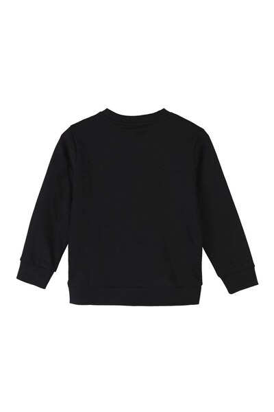 Batman Sweatshirt, cotton, long sleeve, black, Gotham City Hero