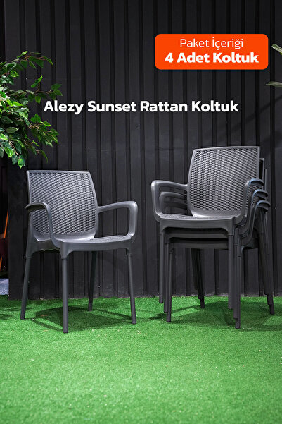 Alezy Sunset Rattan Sırtlı Alüminyum Ayaklı Rattan Koltuk Balkon Bahçe Sandal...