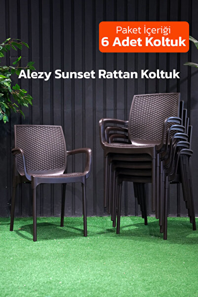 Alezy Sunset Rattan Sırtlı Alüminyum Ayaklı Rattan Koltuk Balkon Bahçe Sandal...
